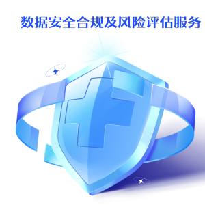 数据安全合规及风险评估服务